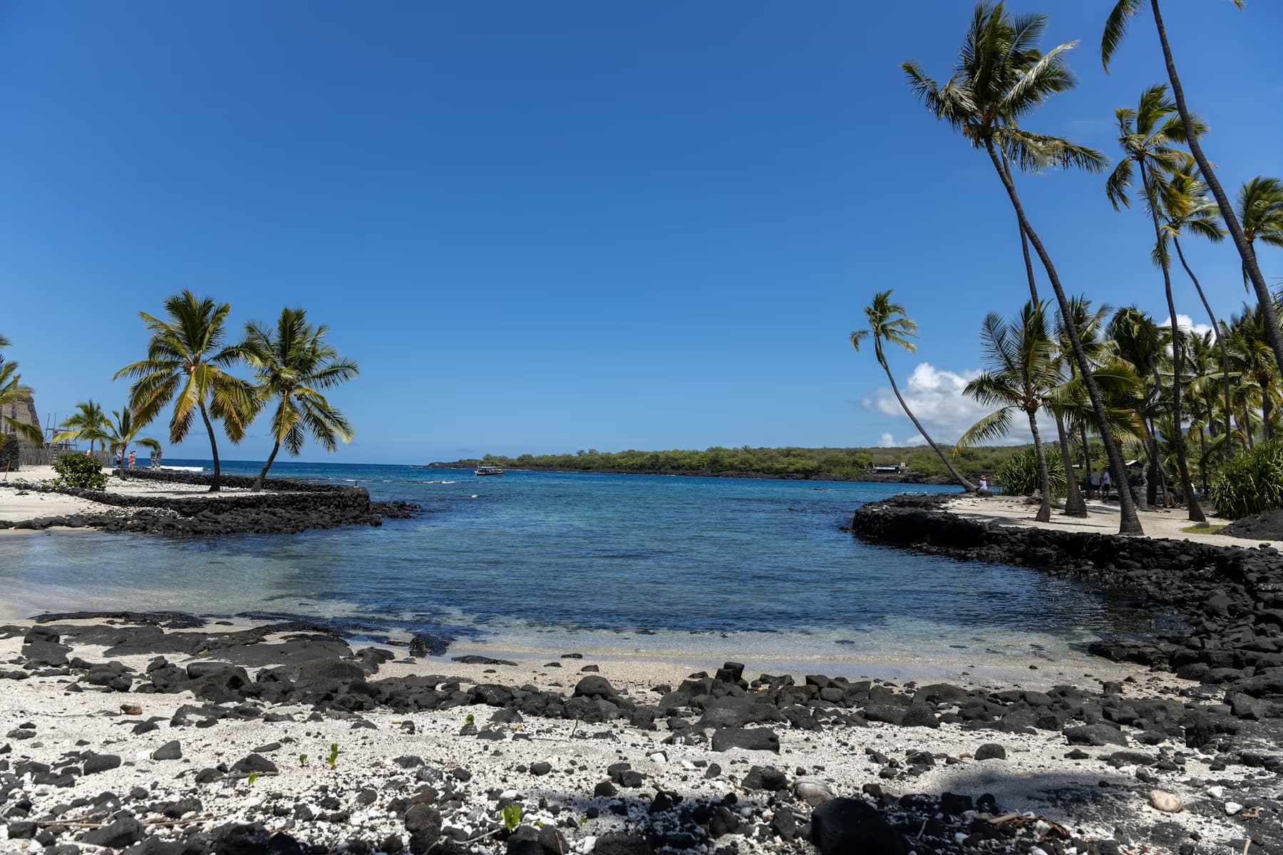 Black lava rock, white coral sand and coconut palms around a calm cove on the Kona coast