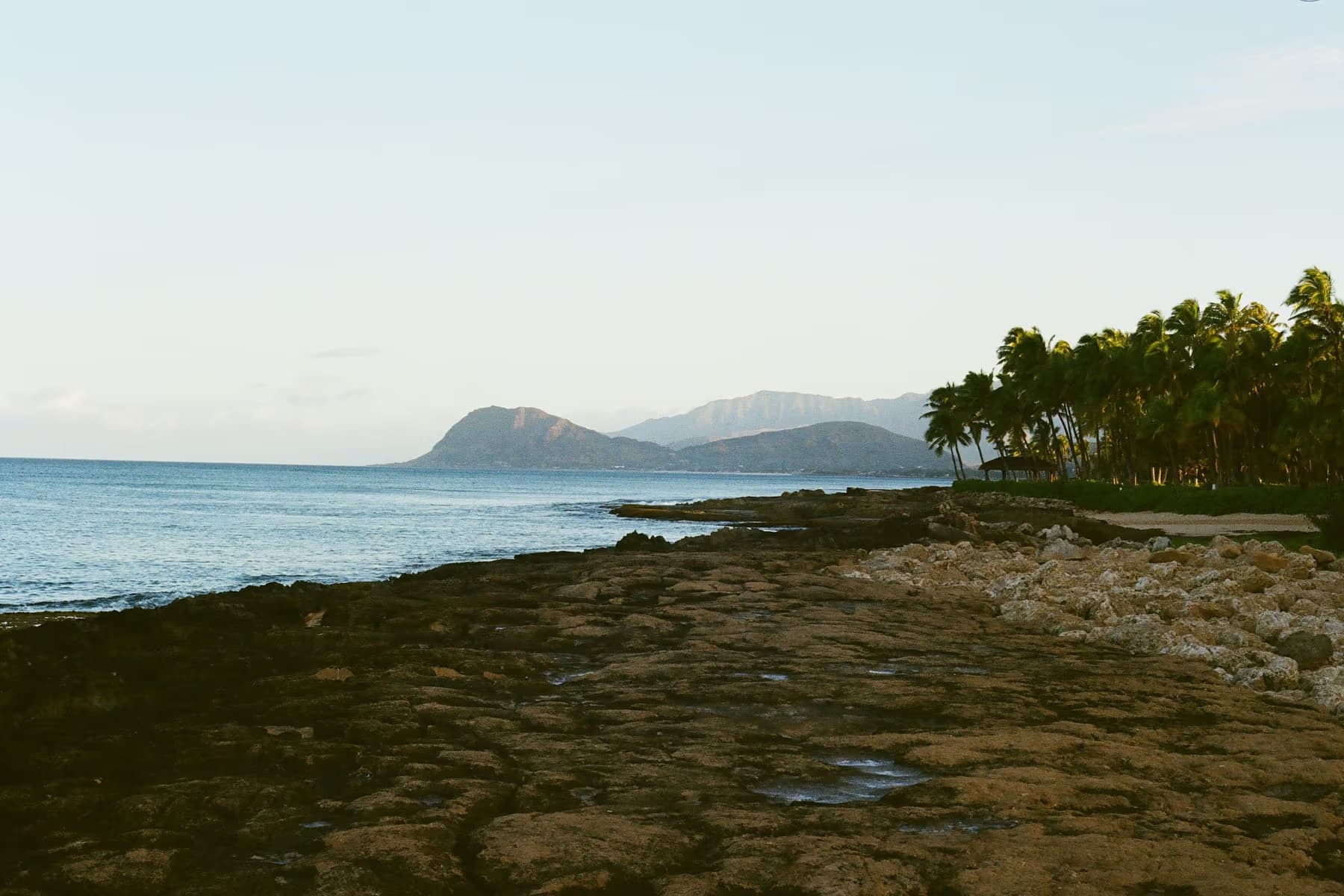 Flat lava rock, coconut palms and the Waianae mountains on the coast at Ko Olina, Oahu