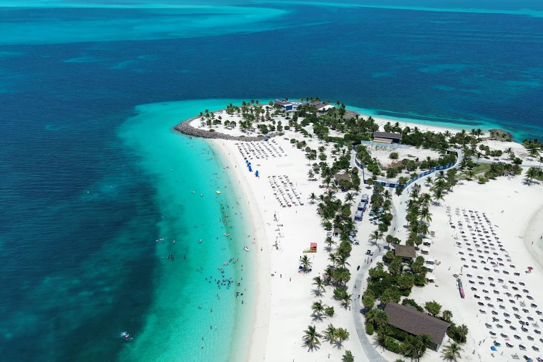 Aerial view of a white sand beach with palm trees and turquoise water in the Bahamas
