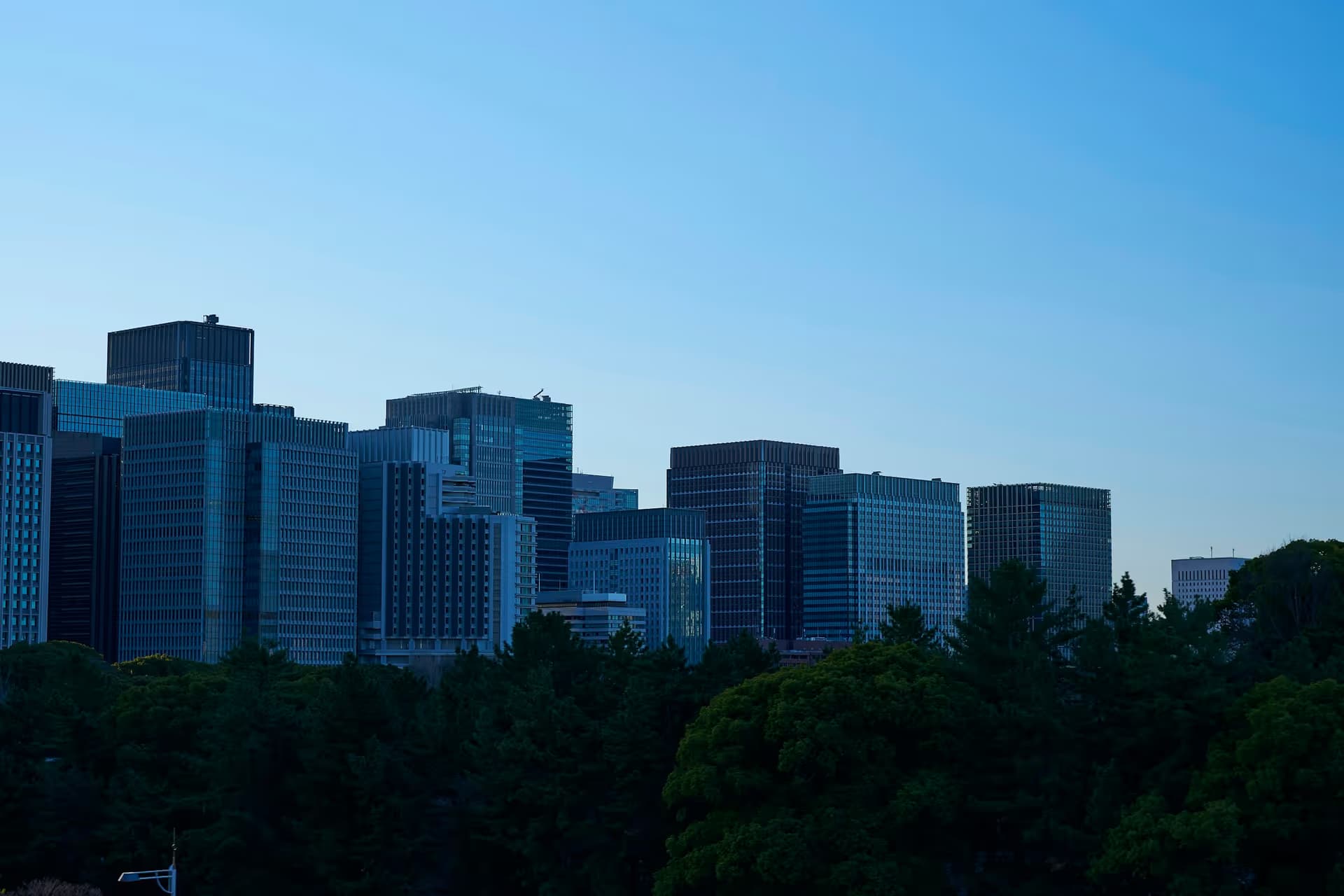Office towers rising above the trees of central Tokyo
