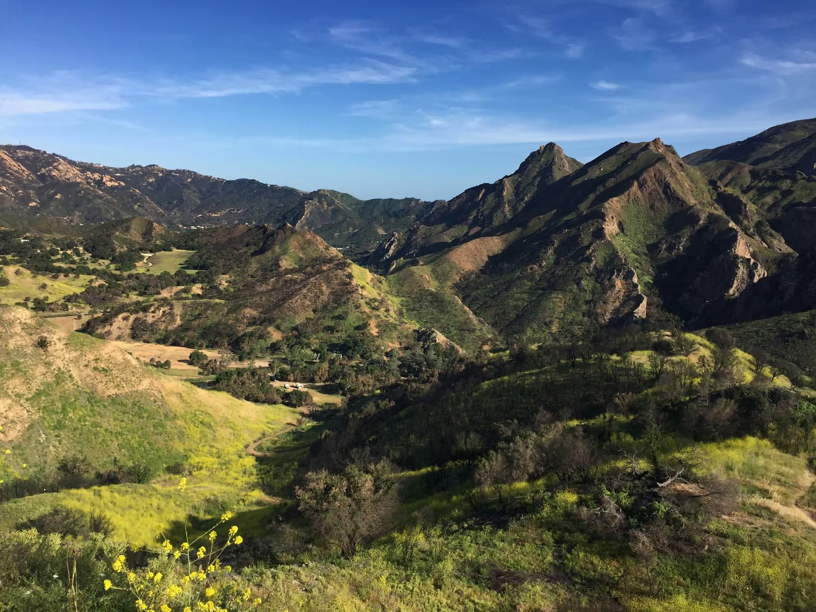 Green, chaparral-covered hills and rugged peaks under a blue sky, with yellow wildflowers in the foreground