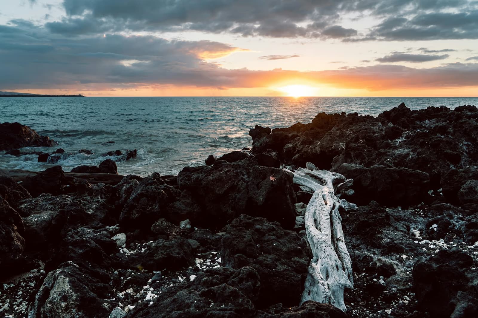 Black lava rock and bleached driftwood on the Big Island shoreline as the sun sets over the Pacific