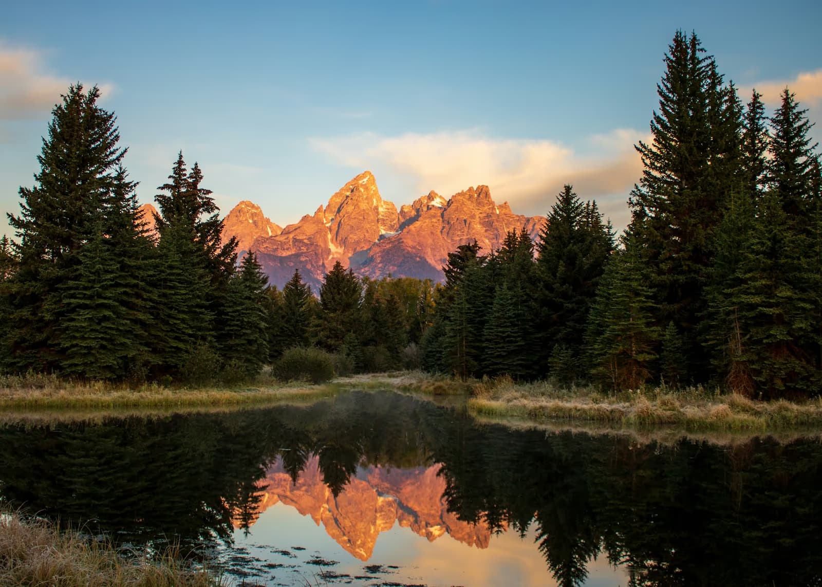 The Teton Range lit pink at sunrise, reflected in a still pond framed by spruce trees