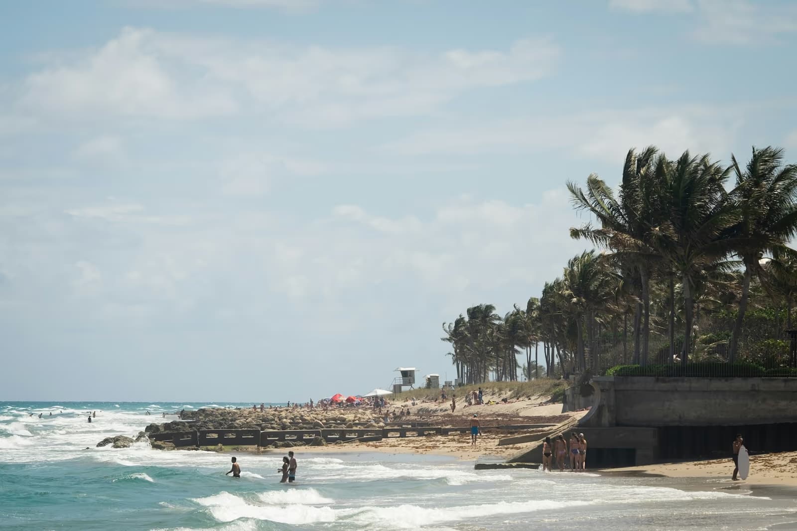 Swimmers and surfers in the waves at Palm Beach, Florida, with palm trees above a sea wall and a lifeguard stand along the sand