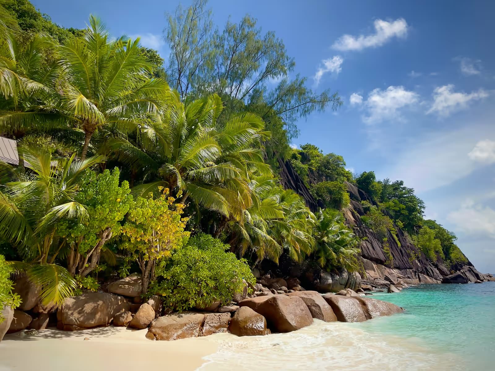 Palms and granite boulders above a small white-sand beach on the south coast of Mahé